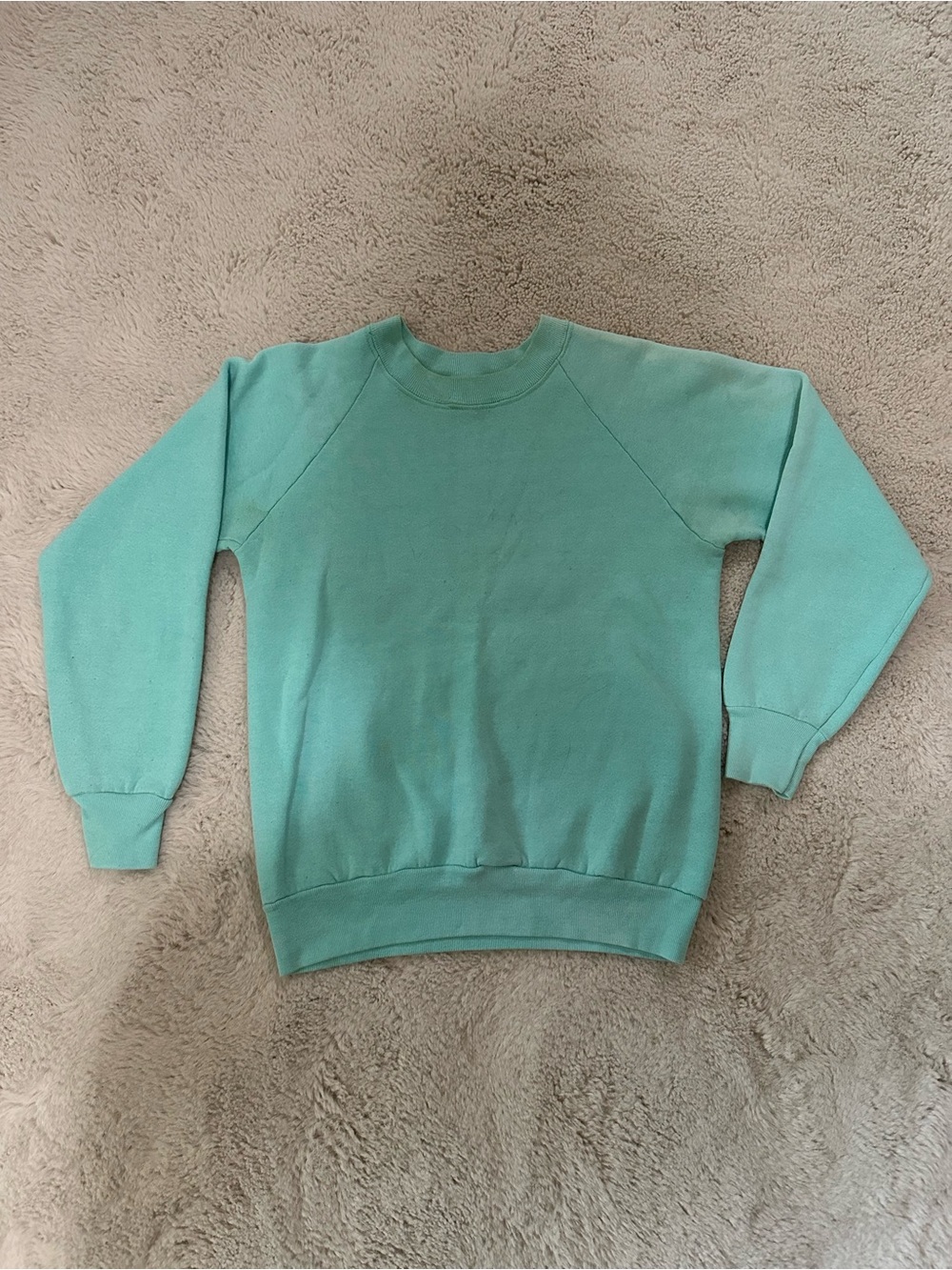 Fruit of the Loom Women's Aqua Crewneck Sweatshirt